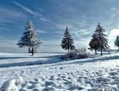 开云平台-英(yīng)雄(xióng)联盟全球总决赛冠亚军决赛四川打響(xiǎng)