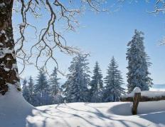 kaiyun-中(zhōng)国電(diàn)竞战队奪(duó)得世界冠军