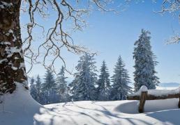 开云下载-电竞比赛吸引全球年轻观众