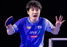 开云下载-我为何希望张本(běn)智和赢得比赛？