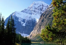 开云体育APP下载-（外代二线）网球——戴维斯杯：意大利队夺冠