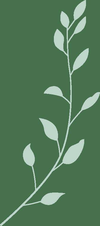 开云下载-见面會(huì)精彩集(jí)锦新鲜出炉！