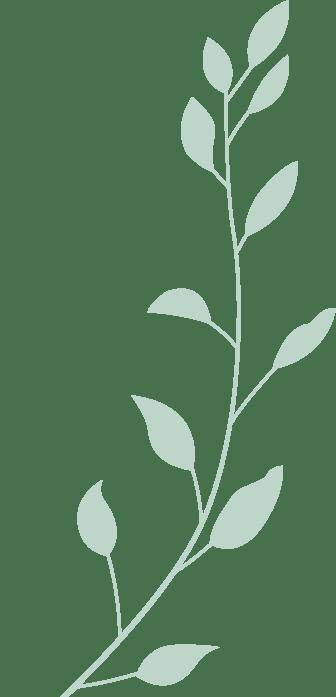 开云下载-见面會(huì)精彩集(jí)锦新鲜出炉！