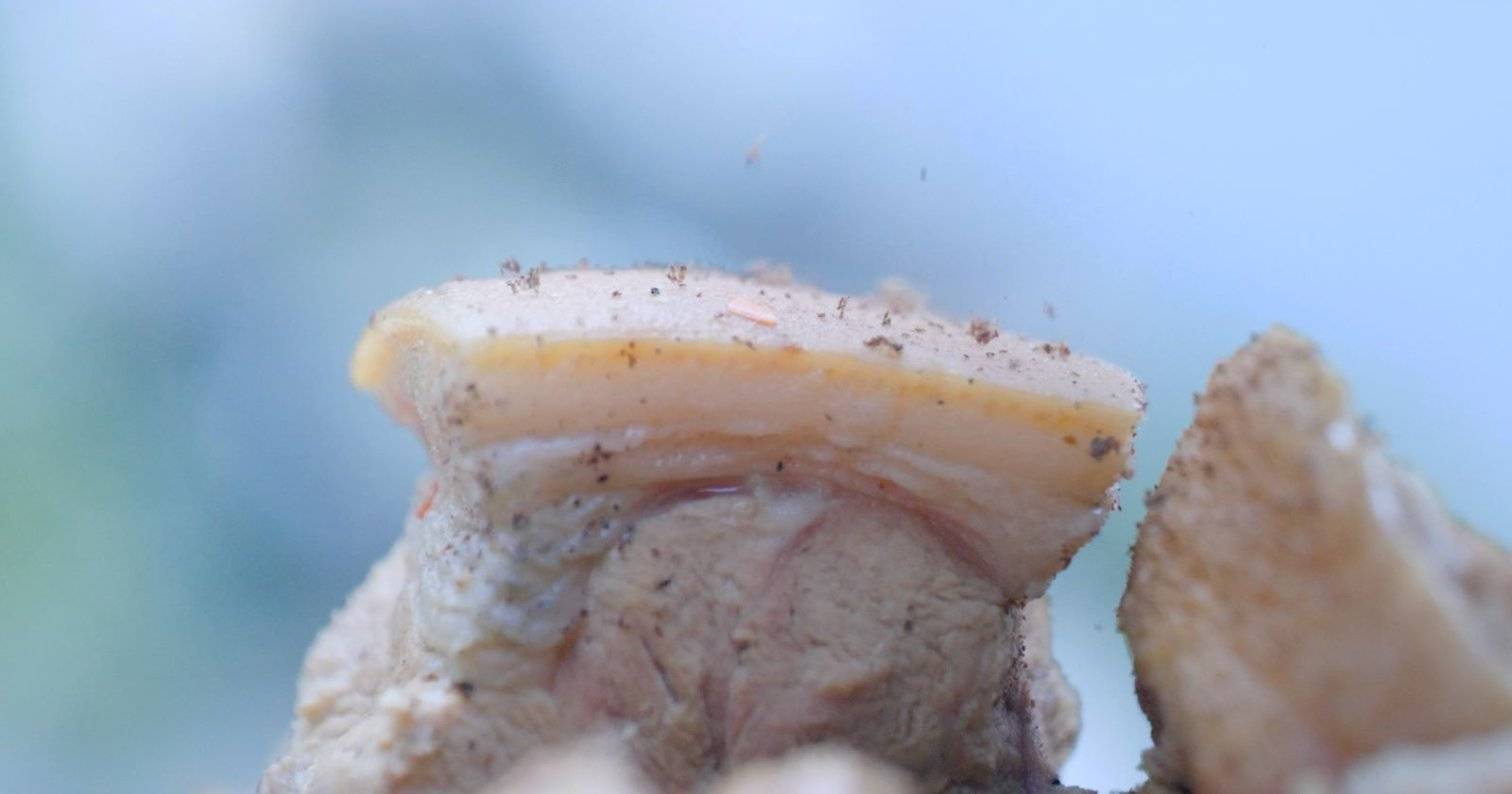 开云体育APP下载-杀年猪、灌腊肠、跳达体舞……凉山彝族自治州欢度彝族新年