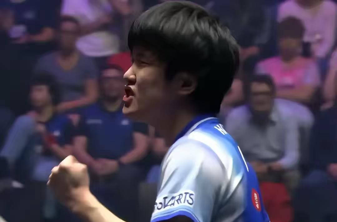 开云下载-我为何希望张本(běn)智和赢得比赛？