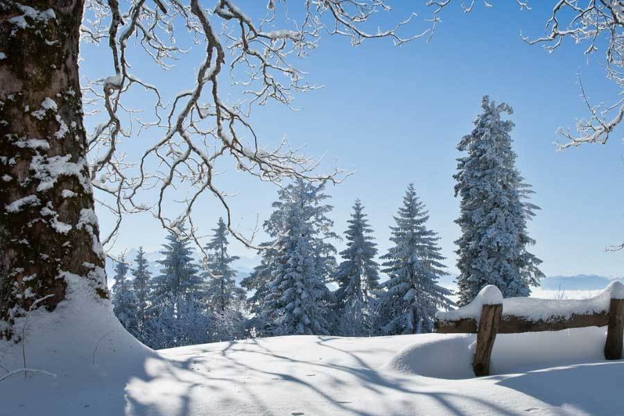 开云平台-英(yīng)雄(xióng)联盟全球总决赛冠亚军决赛四川打響(xiǎng)