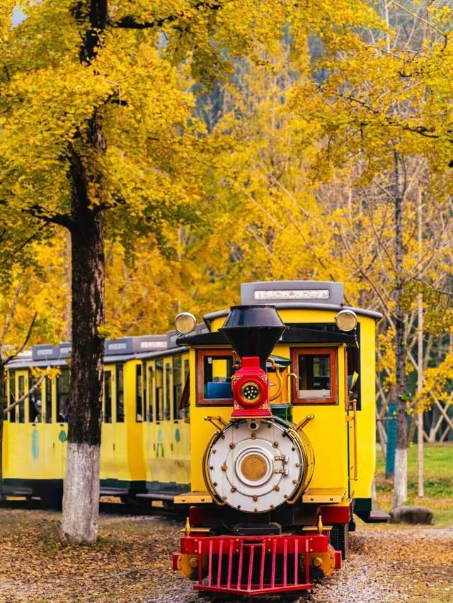 开云体育在线-“新城环保杯”2025年(nián)浙江(jiāng)省第(dì)十四届乒乓球等级积分联賽(sài)(长兴站(zhàn))暨第(dì)二届长三角乒乓球等级积分賽(sài)落(luò)幕