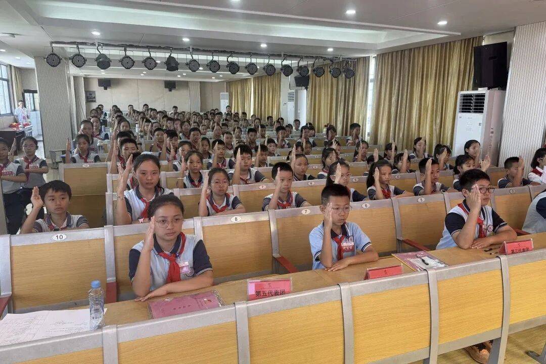 开云体育在线-你好，少代会丨新建区各学校少代会精彩集锦（一）