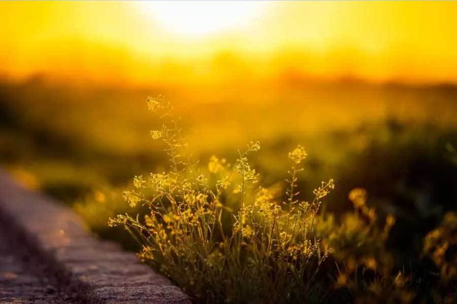 开云下载-电竞比赛吸引全球年轻观众