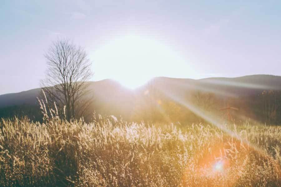 开云体育APP下载-电竞比赛推动青少年团队协作